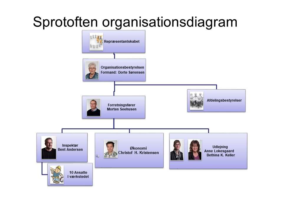 organisationsdiagram sprotoften